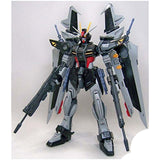 Bandai Gundam Seed Stargazer MG Strike Noir Gundam 1:100 Scale Model Kit - Radar Toys