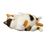 Bandai Mocchiri Kororin Cats Calico Sitting Single Blind Box - Radar Toys