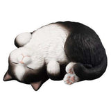 Bandai Mocchiri Kororin Cats Black And White Lying Down Single Blind Box - Radar Toys