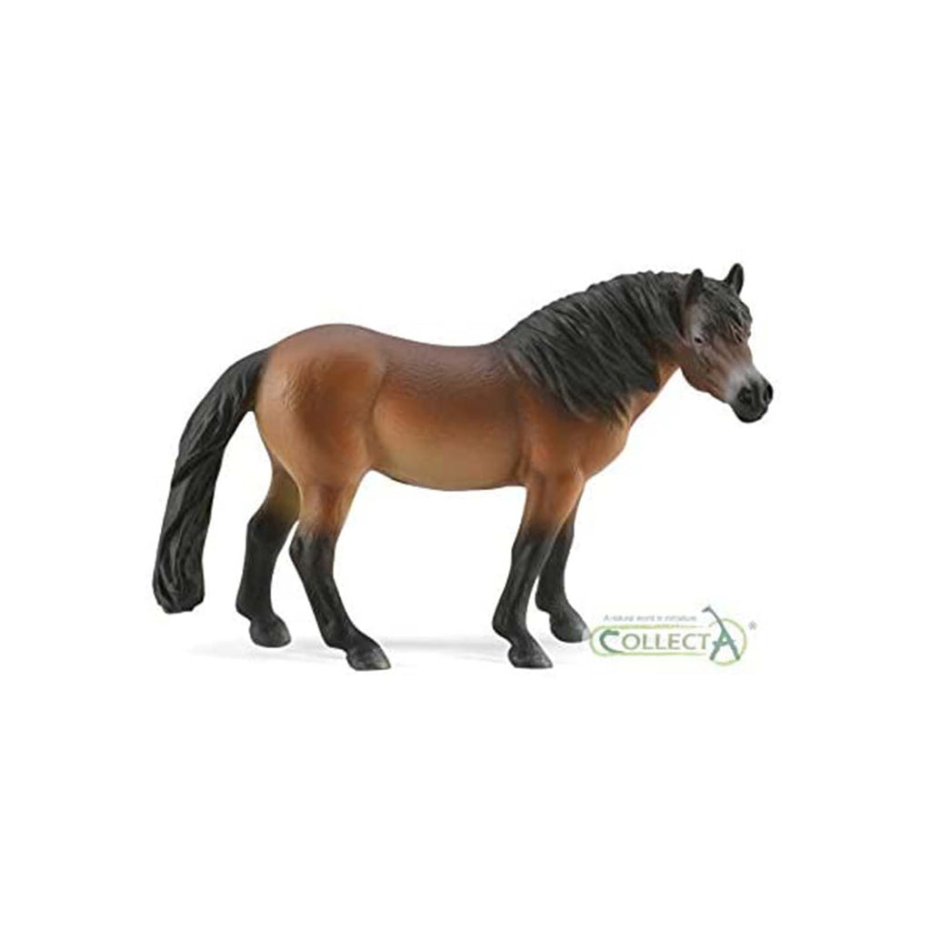 CollectA World Exmoor Pony Stallion Figure 88873