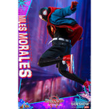 Hot Toys Spider-Man Into The Spider-Verse Miles Morales Sixth Scale Action Figure - Radar Toys