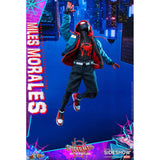 Hot Toys Spider-Man Into The Spider-Verse Miles Morales Sixth Scale Action Figure - Radar Toys