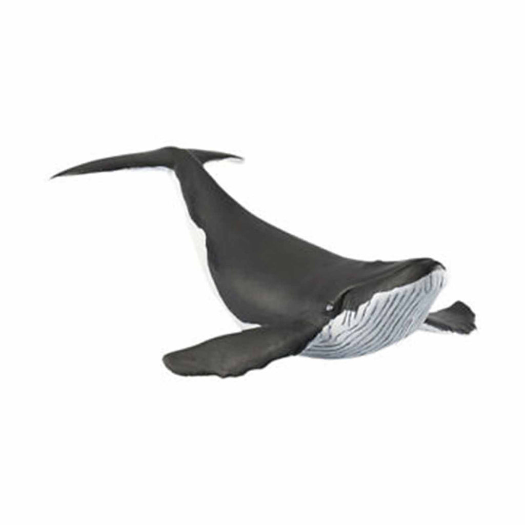 Papo Whale Calf Animal Figure 56035