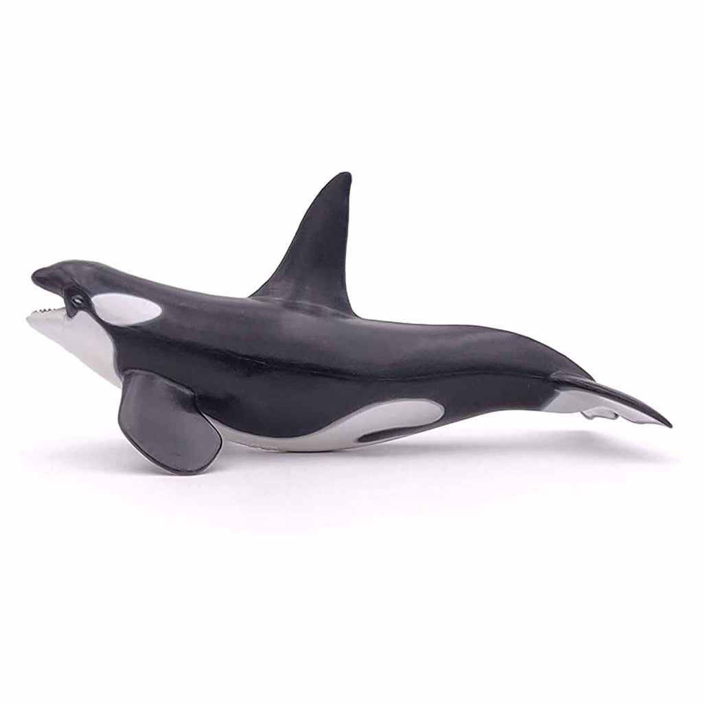 Papo Killer Whale Animal Figure 56047 - Radar Toys