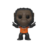 Funko NBA Mascot POP Phoenix Suns Go-Rilla Vinyl Figure - Radar Toys