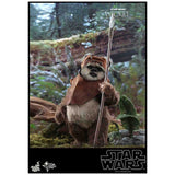 Hot Toys Star Wars Movie Masterpiece Wicket Action Figure - Radar Toys