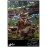 Hot Toys Star Wars Movie Masterpiece Wicket Action Figure - Radar Toys