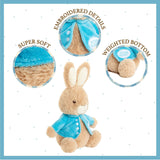 Beatrix Potter Peter Rabbit Beanbag Plush - Radar Toys