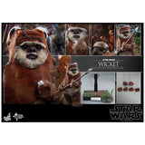 Hot Toys Star Wars Movie Masterpiece Wicket Action Figure - Radar Toys