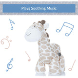 Carter's Giraffe Waggy Musical Plush Toy - Radar Toys