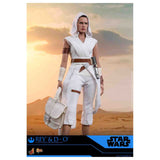Hot Toys Star Wars Rey And D-O Rise Of Skywalker 1:6 Scale High Collectible Figure - Radar Toys