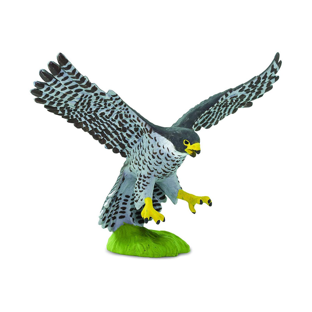 Safari Ltd Peregrine Falcon
