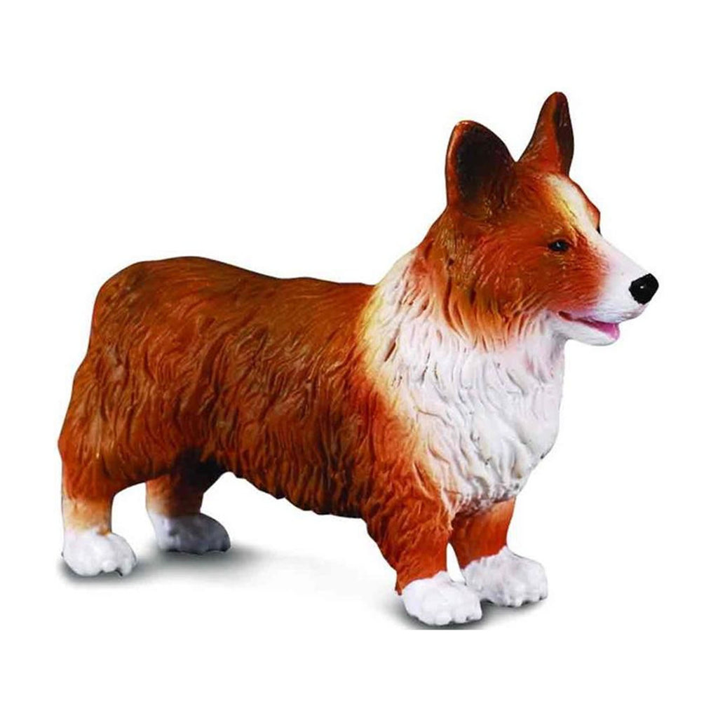 CollectA Welsh Corgi Animal Figure 88082 - Radar Toys