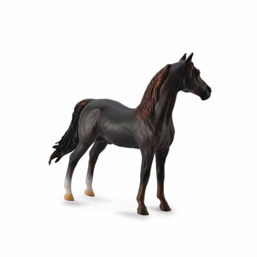 CollectA Morgan Stallion Chestunt Horse Figure 88647 - Radar Toys