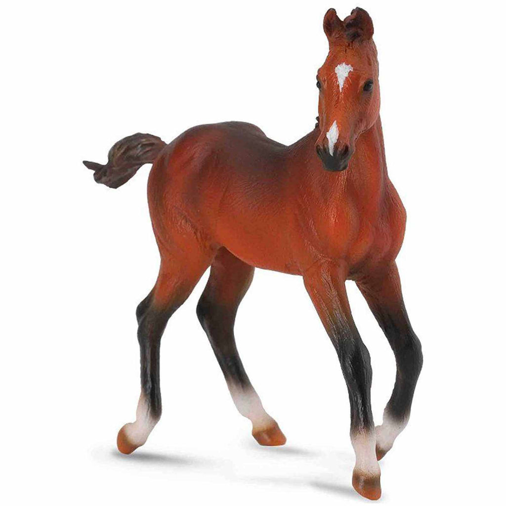 CollectA Quarter Foal Bay Horse Figure 88586 - Radar Toys