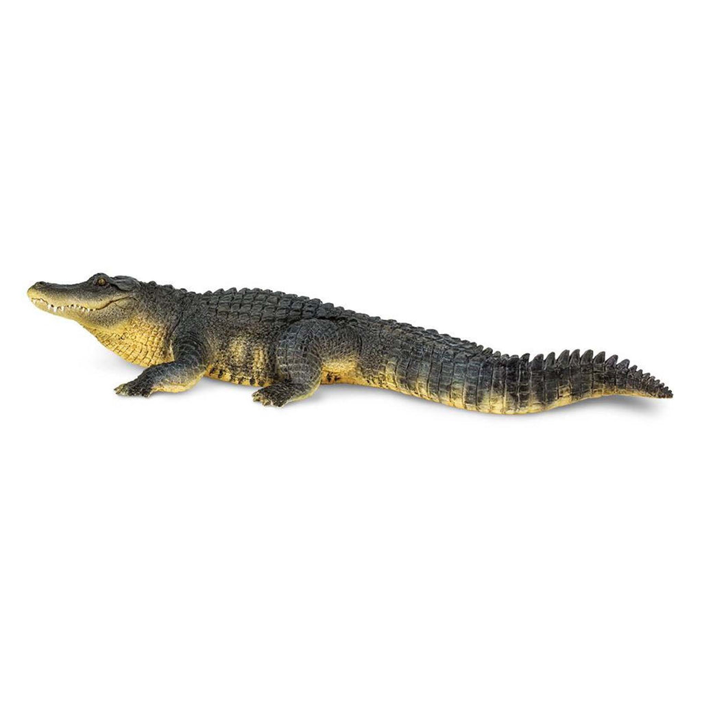Alligator Animal Figure Safari Ltd - Radar Toys
