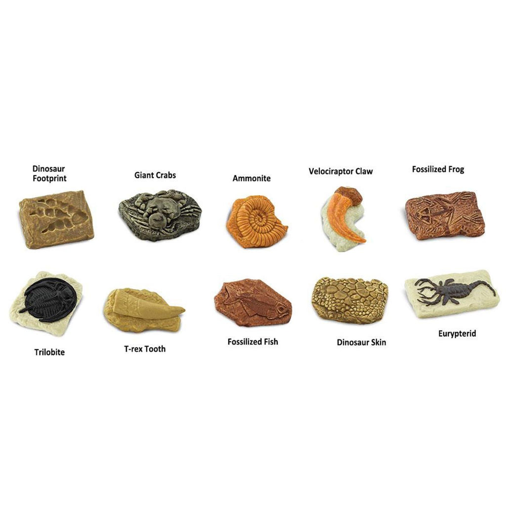 Ancient Fossils Toob Mini Figures Safari Ltd
