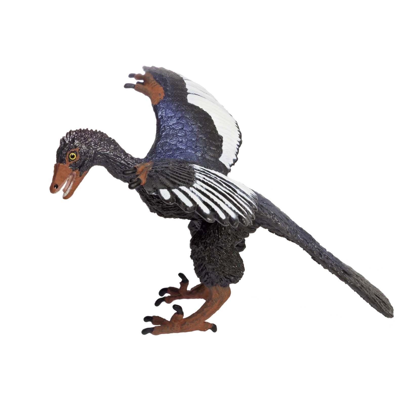 Archaeopteryx Wild Safari Dinosaurs Figure Safari Ltd | Radar Toys