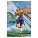 Bandai Street Fighter V Sagat SHFiguarts Figure - Radar Toys