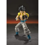 Bandai Dragon Ball Super SSGSS Gogeta SH Figuarts Action Figure - Radar Toys