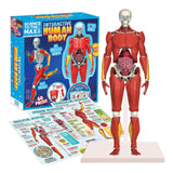 Be Amazing Interactive Human Body Kit - Radar Toys