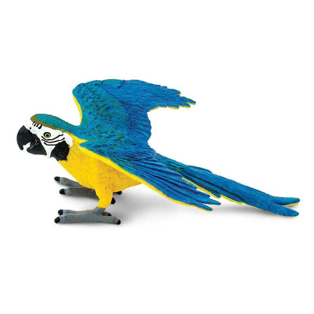 Blue And Gold Macaw Wings Of The World Birds Figure Safari Ltd - Radar Toys