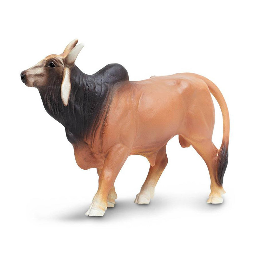 Brahma Bull Wild Safari Farm Figure Safari Ltd