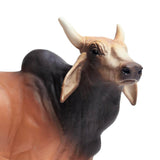 Brahma Bull Wild Safari Farm Figure Safari Ltd - Radar Toys