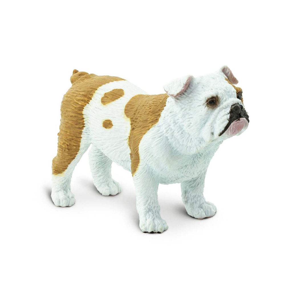 Bulldog Best In Show Dogs Figure Safari Ltd - Radar Toys