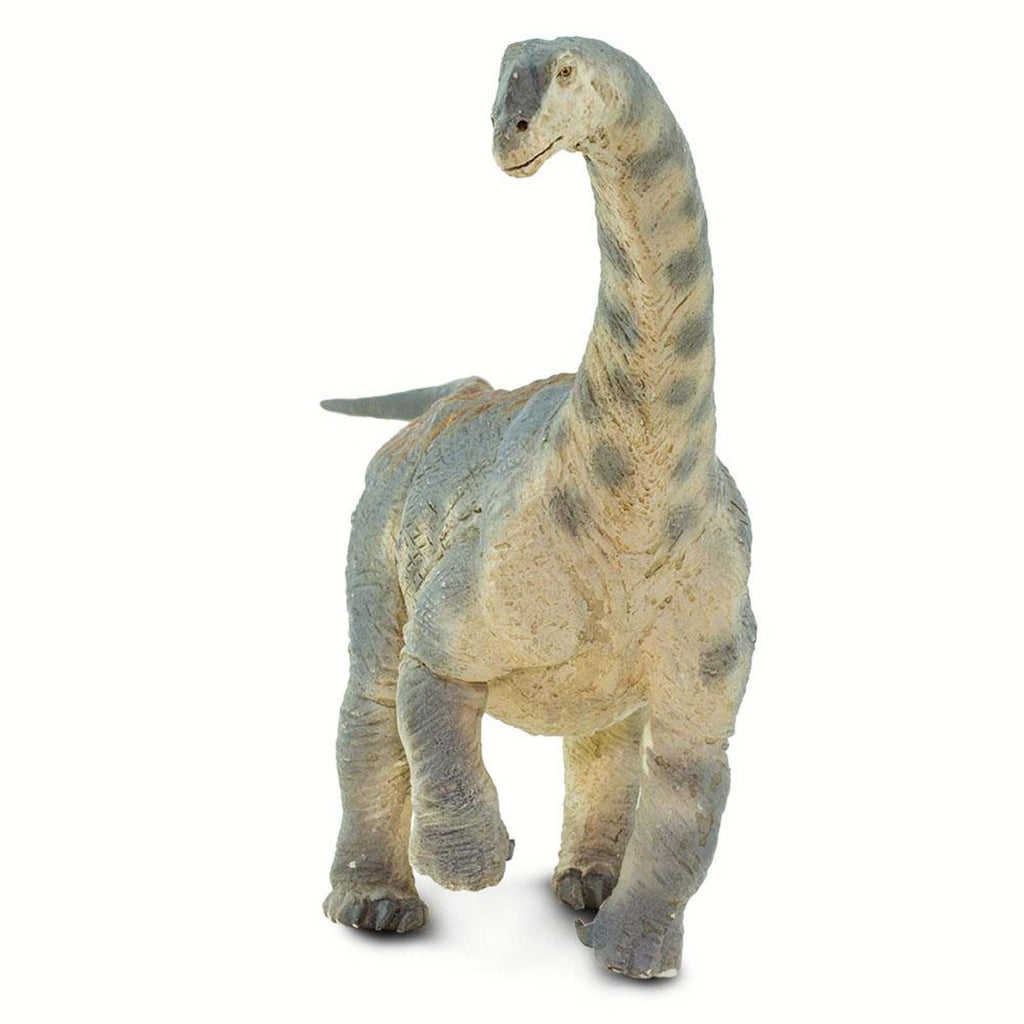 Camarasaurus Dinosaur Figure Safari Ltd 100309