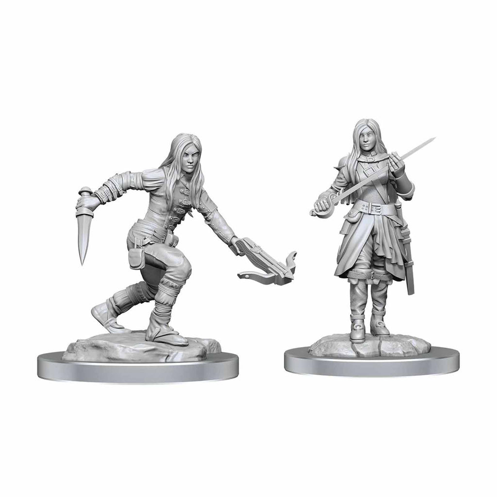 Dungeons And Dragons Female Half Elf Rouge Nolzur's Miniatures