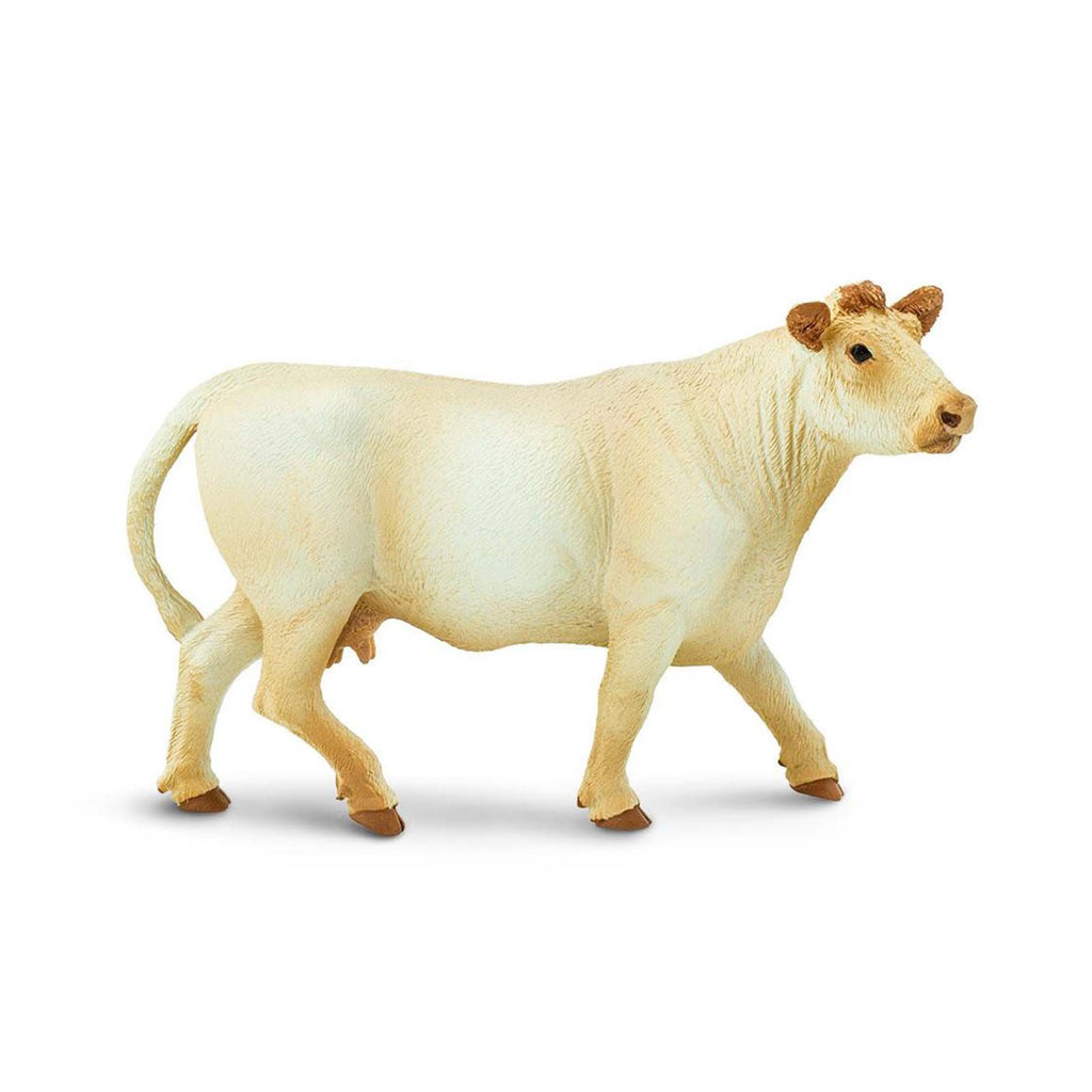 Charolais Cow Wild Safari Farm Figure Safari Ltd