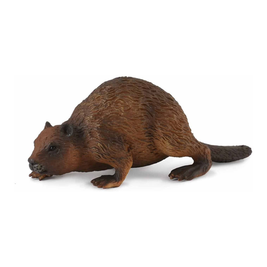 CollectA Beaver Animal Figure 88382 - Radar Toys
