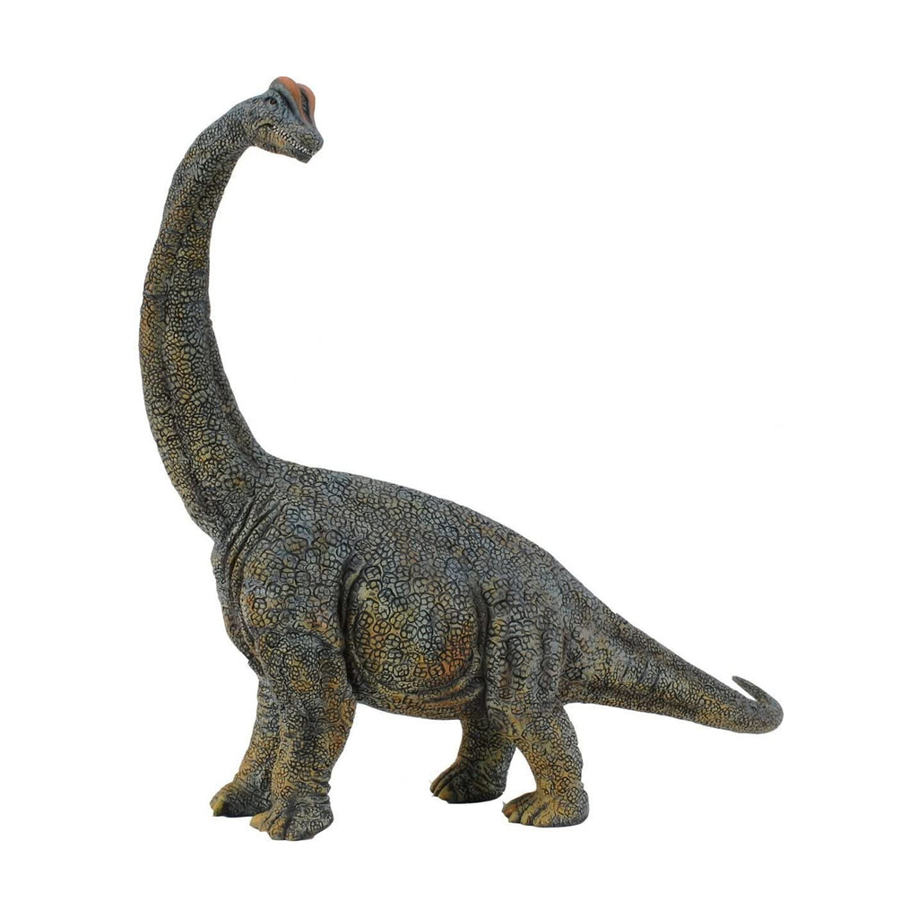 CollectA Brachiosaurs Deluxe Dinosaur Figure 88405 - Radar Toys