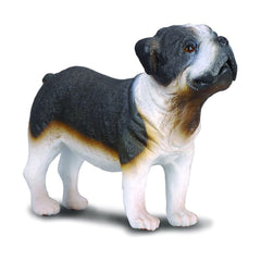 CollectA Bull Dog Animal Figure 88179 - Radar Toys