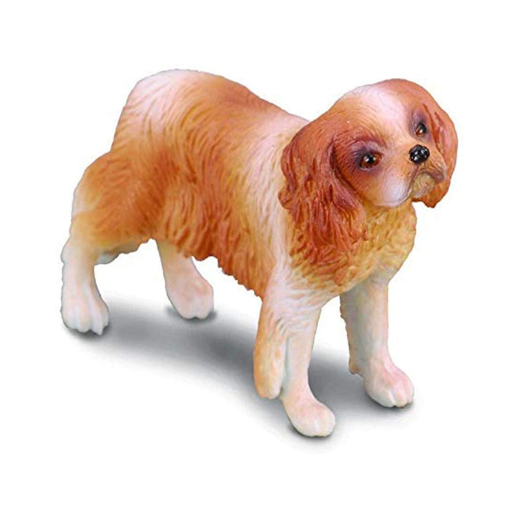 CollectA Cavalier King Charles Spaniel Animal Figure 88181