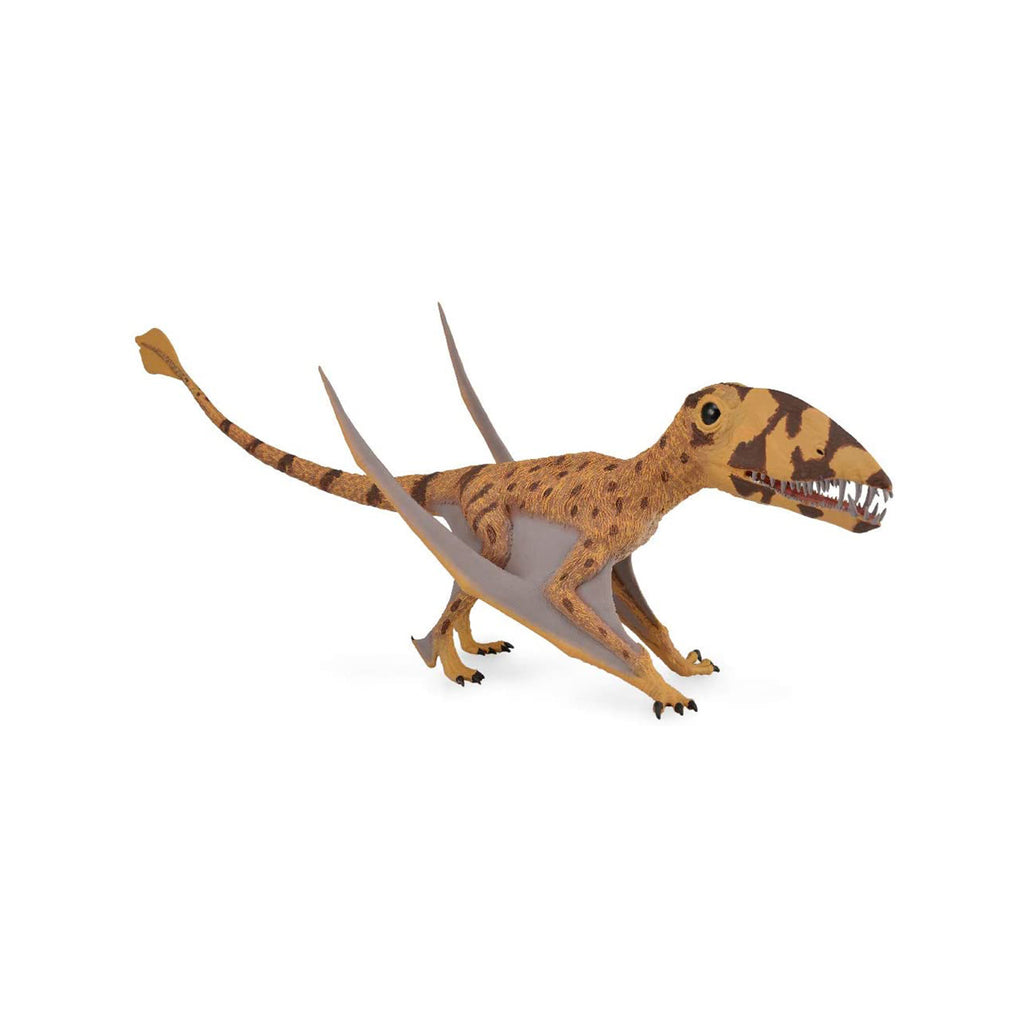 CollectA Dimorphodon Dinosaur Figure 88798 - Radar Toys