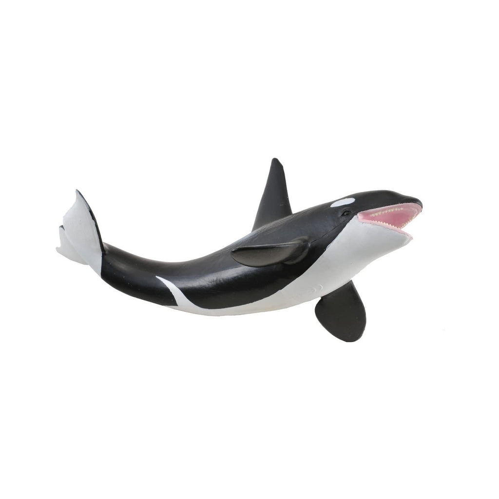 CollectA Orca Animal Figure 88043 - Radar Toys