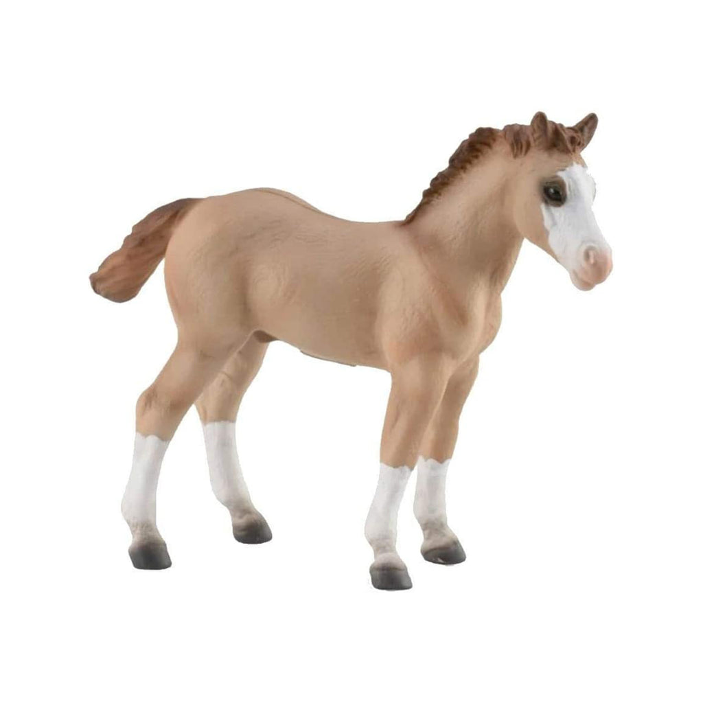 CollectA Quarter Foal Red Dun Animal Figure 88814 - Radar Toys