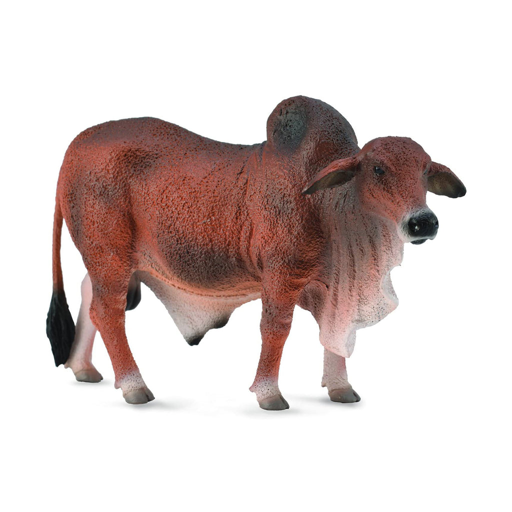 CollectA Red Brahman Bull Animal Figure 88599