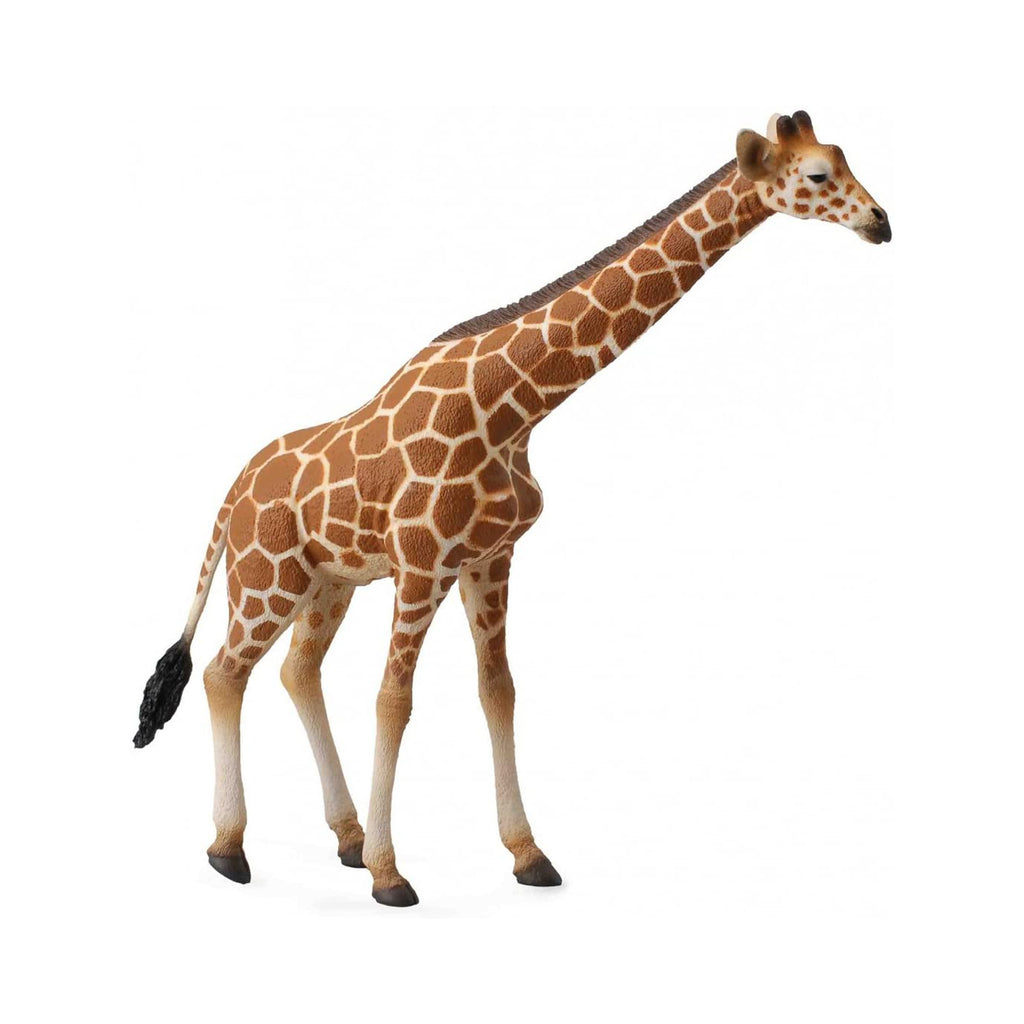 CollectA Reticulated Giraffe Animal Figure 88534 - Radar Toys