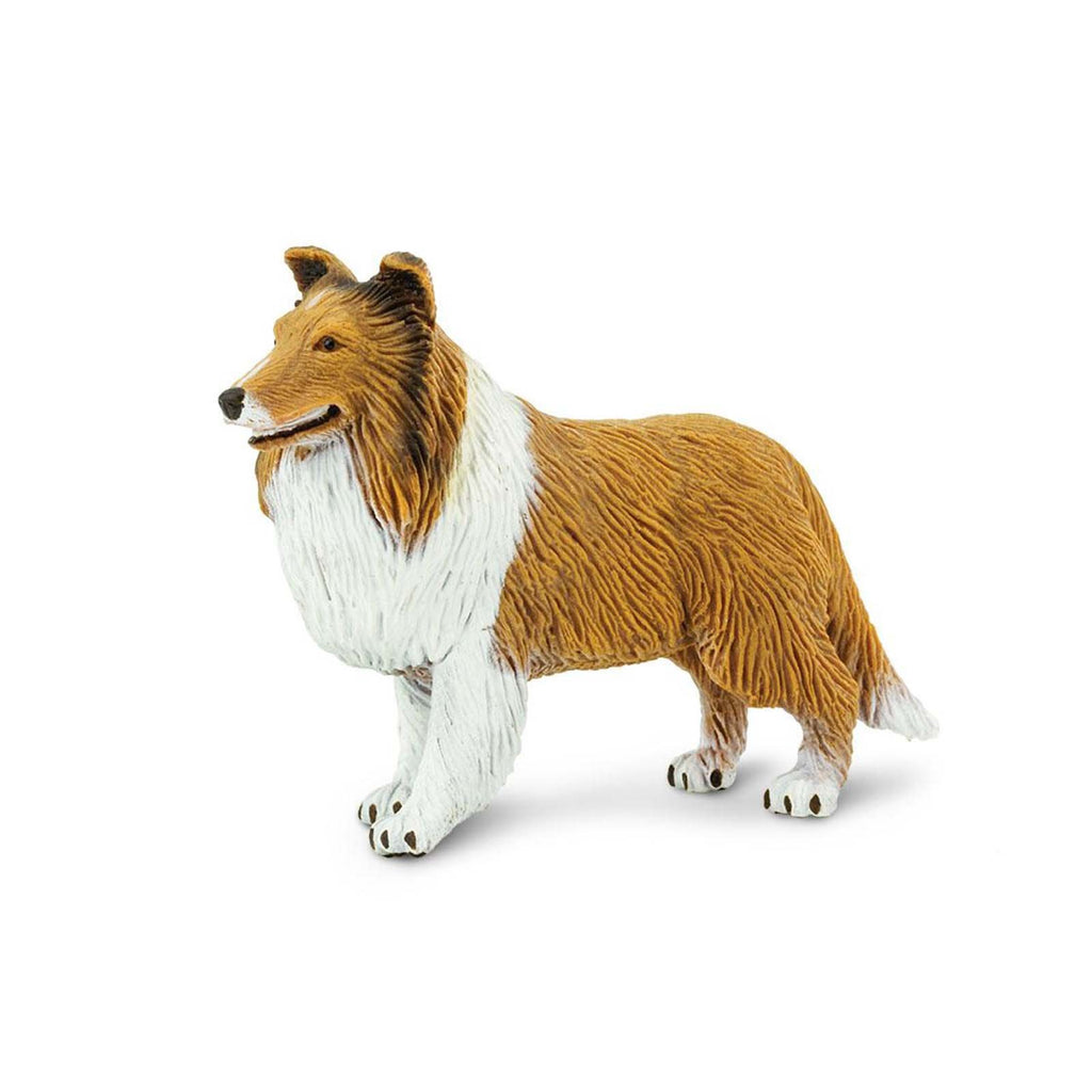 Collie Best In Show Dogs Figure Safari Ltd - Radar Toys