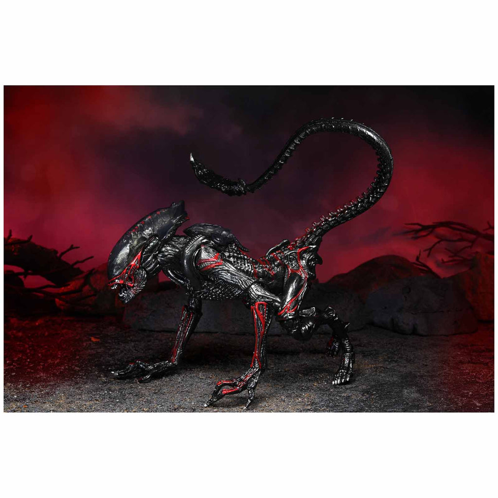 NECA Aliens Kenner Night Cougar Alien 9 Inch Figure