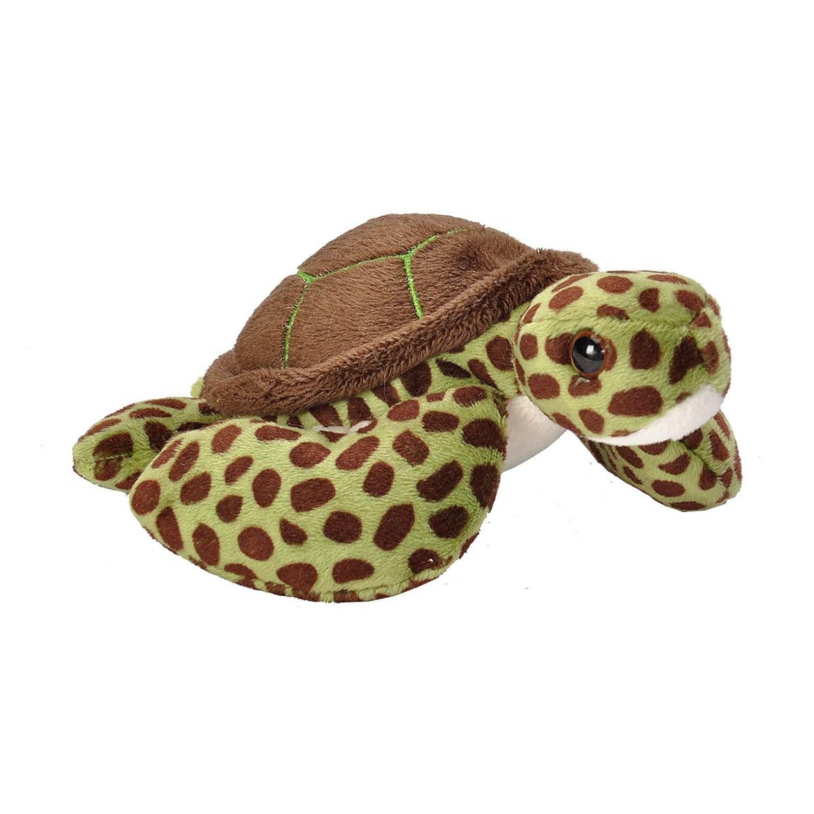 Cuddlekins Lil's Green Sea Turtle 5 Inch Animal Plush Figure | Radar Toys