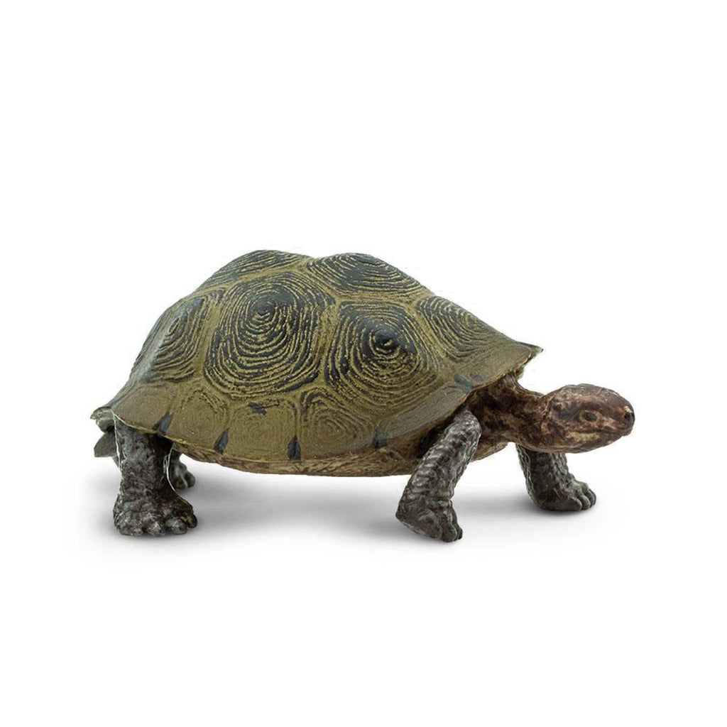 Desert Tortoise Wild Safari Animal Figure Safari Ltd - Radar Toys