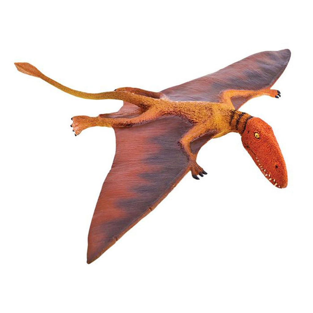 Dimorphodon Wild Safari Dinosaur Figure Safari Ltd - Radar Toys