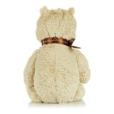Disney Baby Classic Pooh 17 Inch Plush Figure - Radar Toys