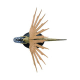 Eaglemoss Star Trek Discovery Klingon Raider Ship Replica - Radar Toys