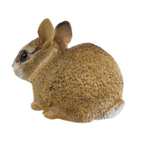 Eastern Cottontail Rabbit Baby Incredible Creatures Animal Figure Safari Ltd - Radar Toys