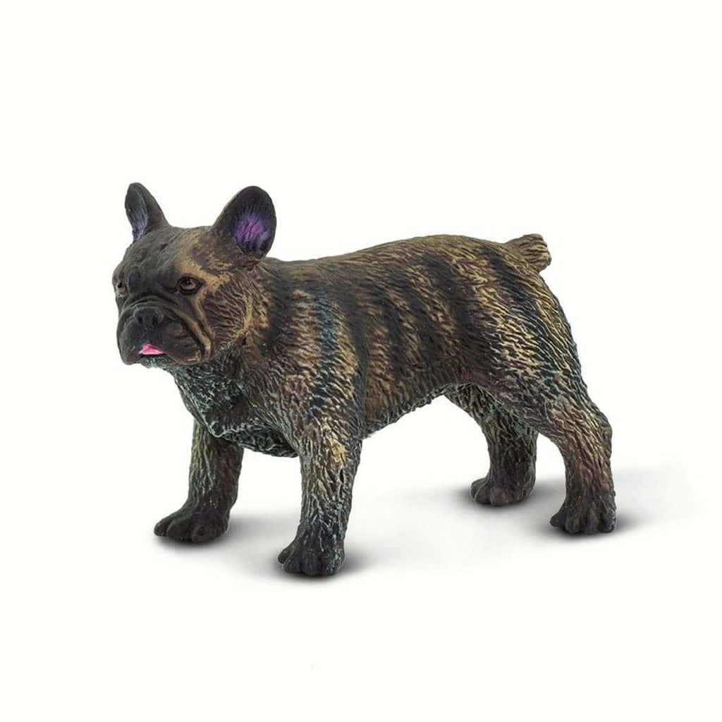 French Bulldog Best In Show Animal Figure Safari Ltd 100304 - Radar Toys